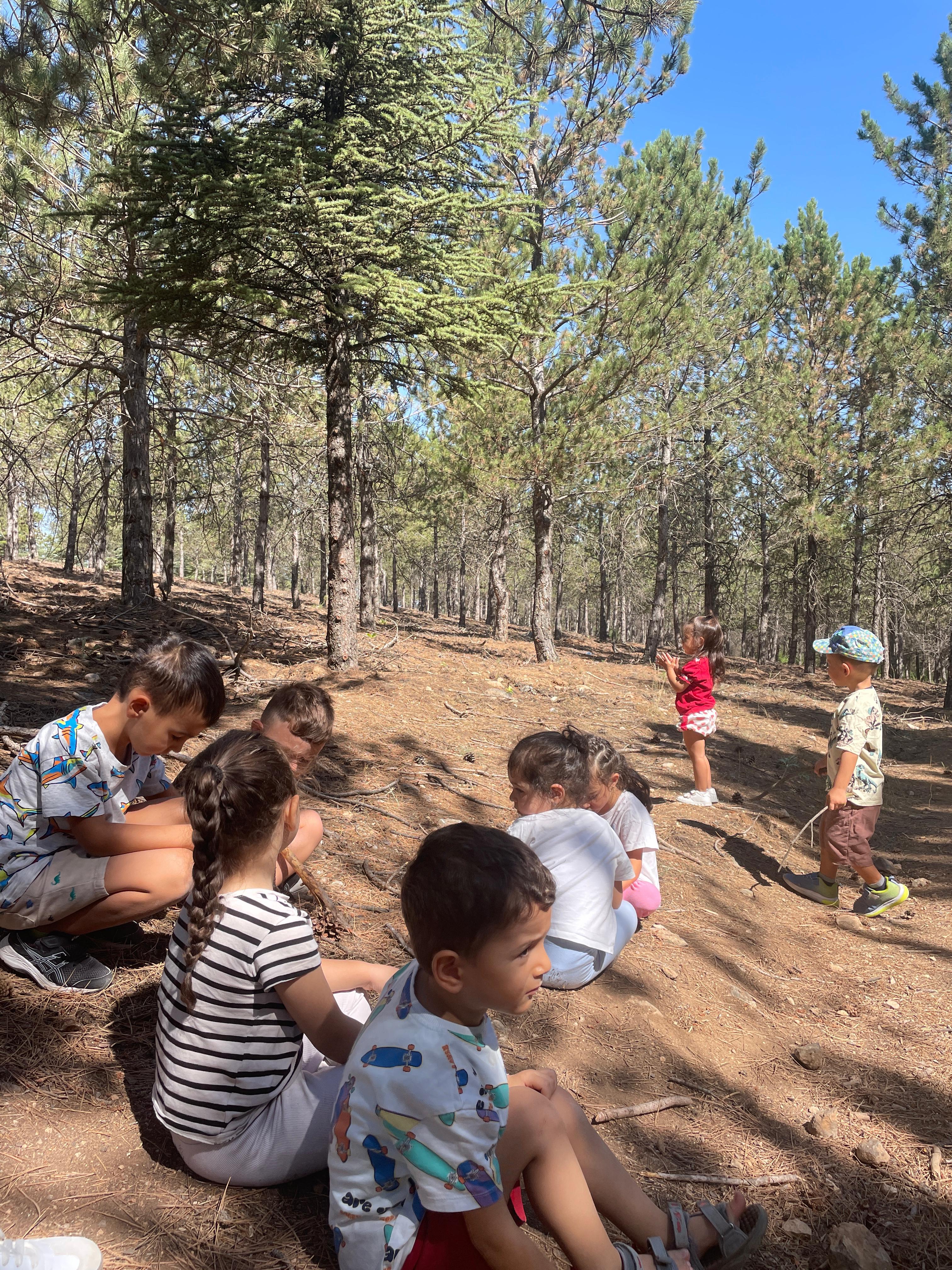 Doğada Yürüyüş Yapan Çocuklar