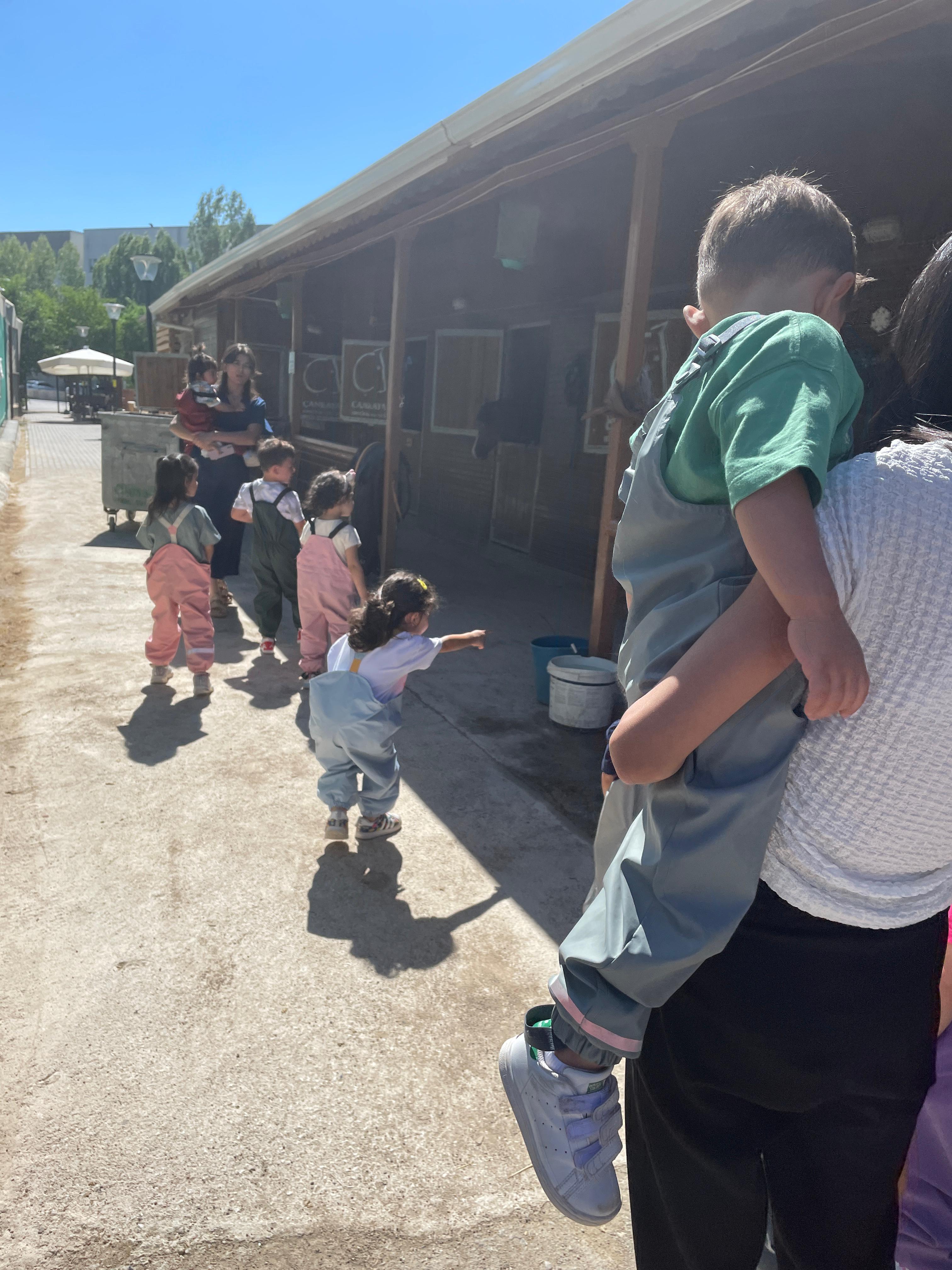 At Biniciliği Etkinliği 2