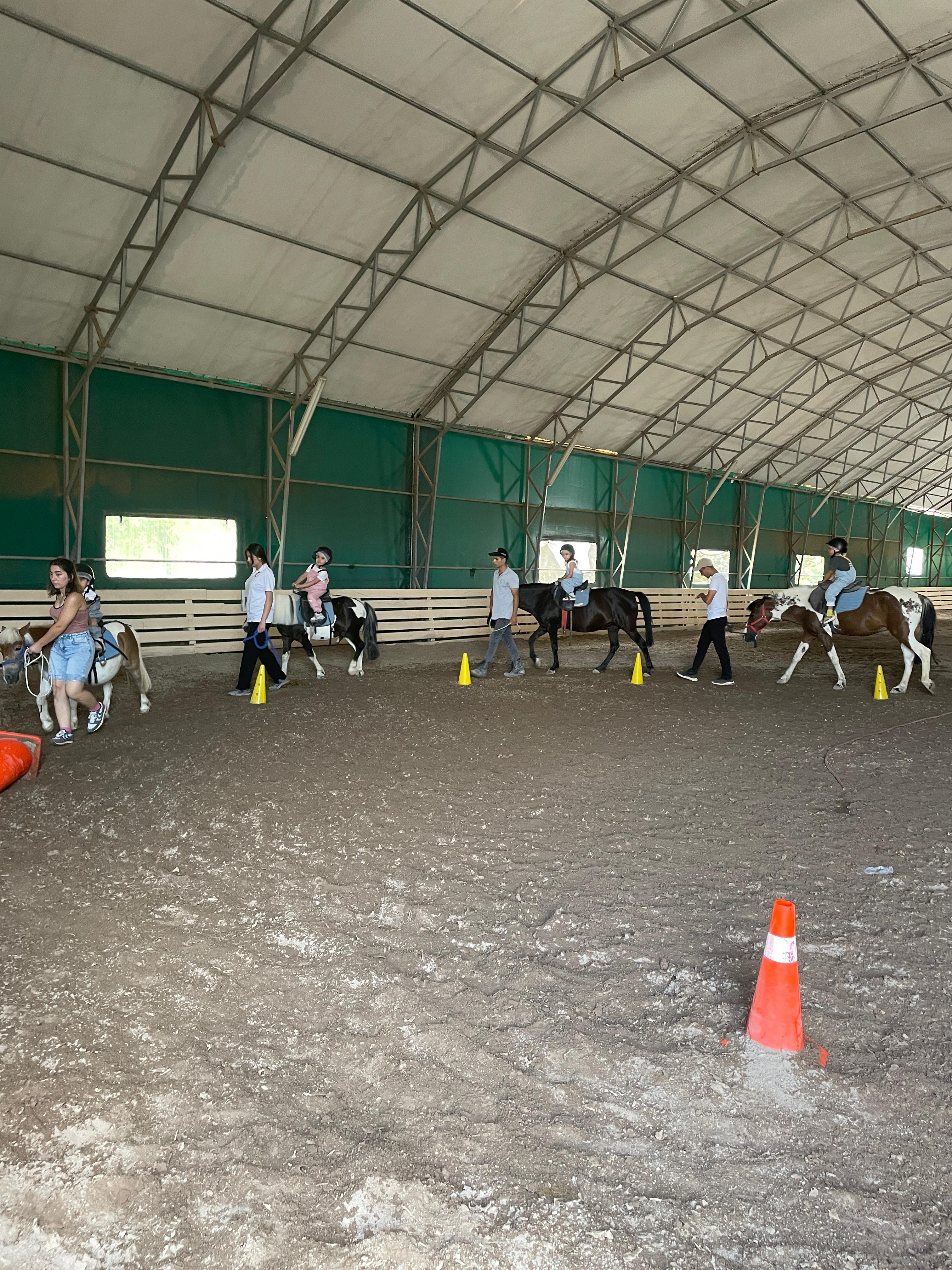 At Biniciliği Etkinliği 1